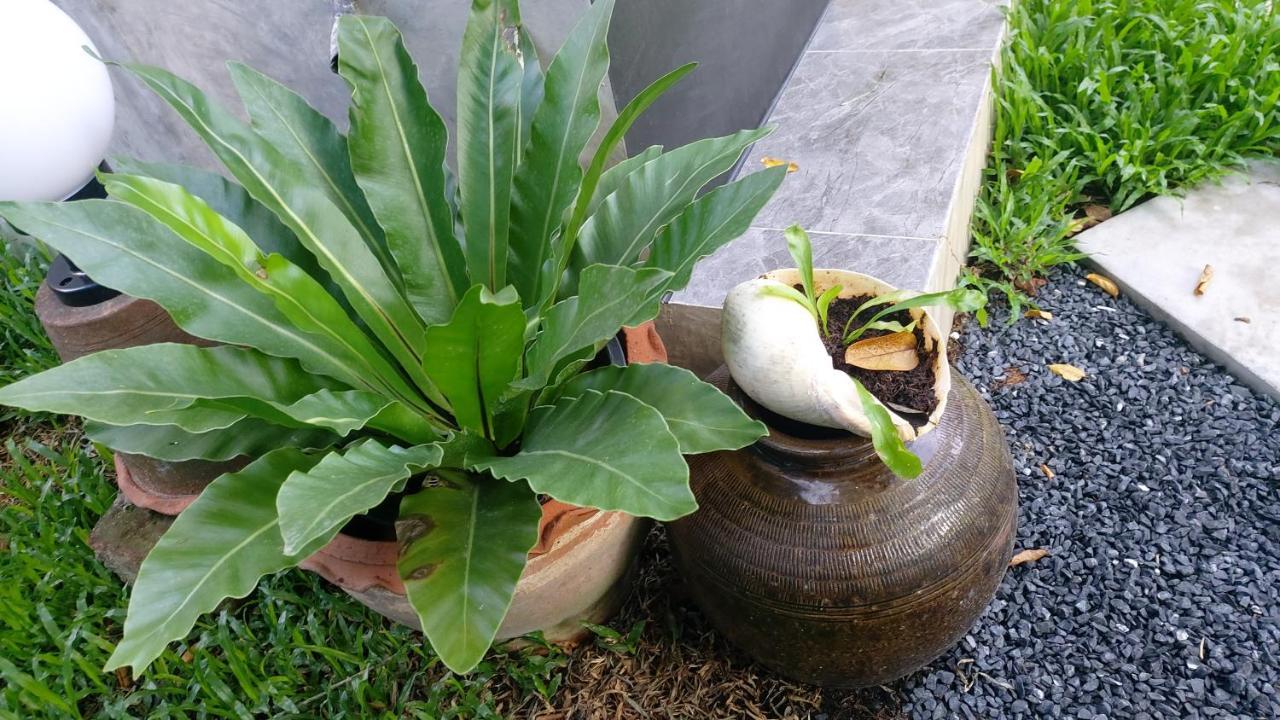Marin' S Home 타랑 외부 사진